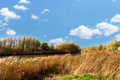 Westerdiep 39-39.jpg